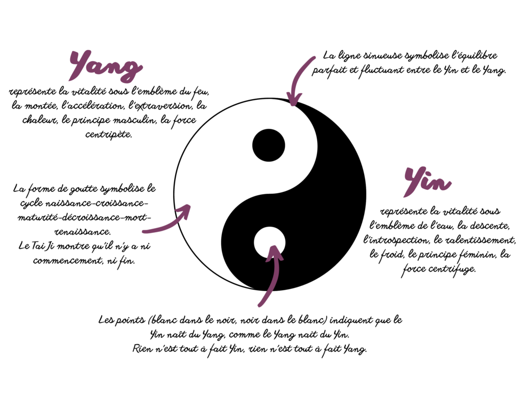 Schéma explicatif Yin et Yang
